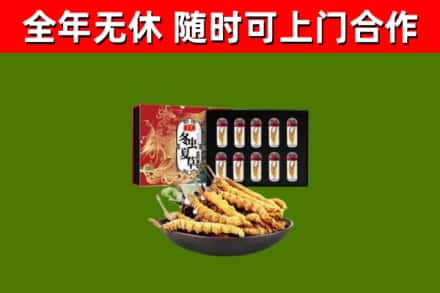 泰山烟酒回收冬虫夏草礼盒.jpg